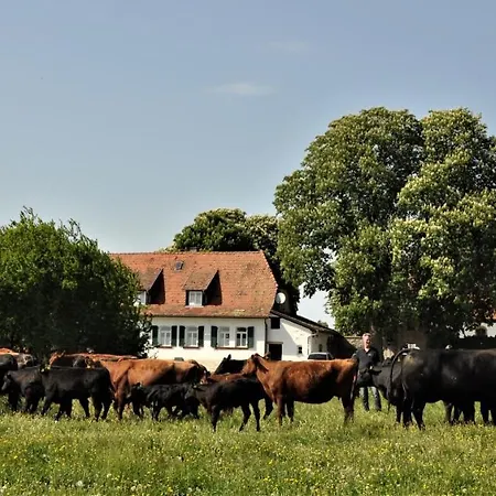 Apartman Schaefer's Michaelsberg