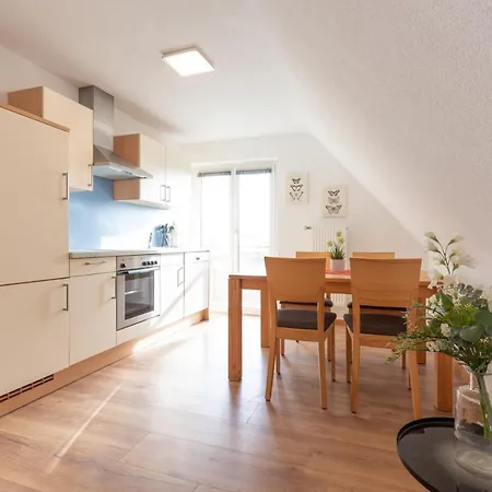 Schaefer's Michaelsberg Apartman Gundelsheim