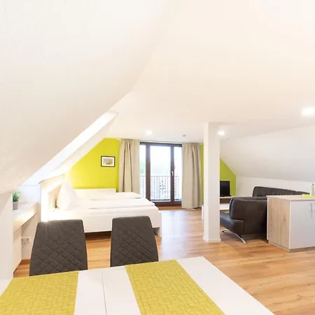 Schaefer's Michaelsberg Apartman Gundelsheim