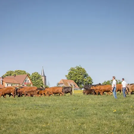 アパート Schaefer's Michaelsberg *