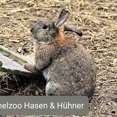 Apartman Schaefer's Michaelsberg *